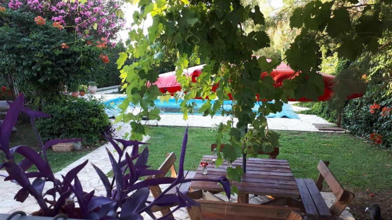 Villa Alkyon - Dreamy 3Br, Pool & Bbq Next To Varnavas Beach Grammatiko Extérieur photo