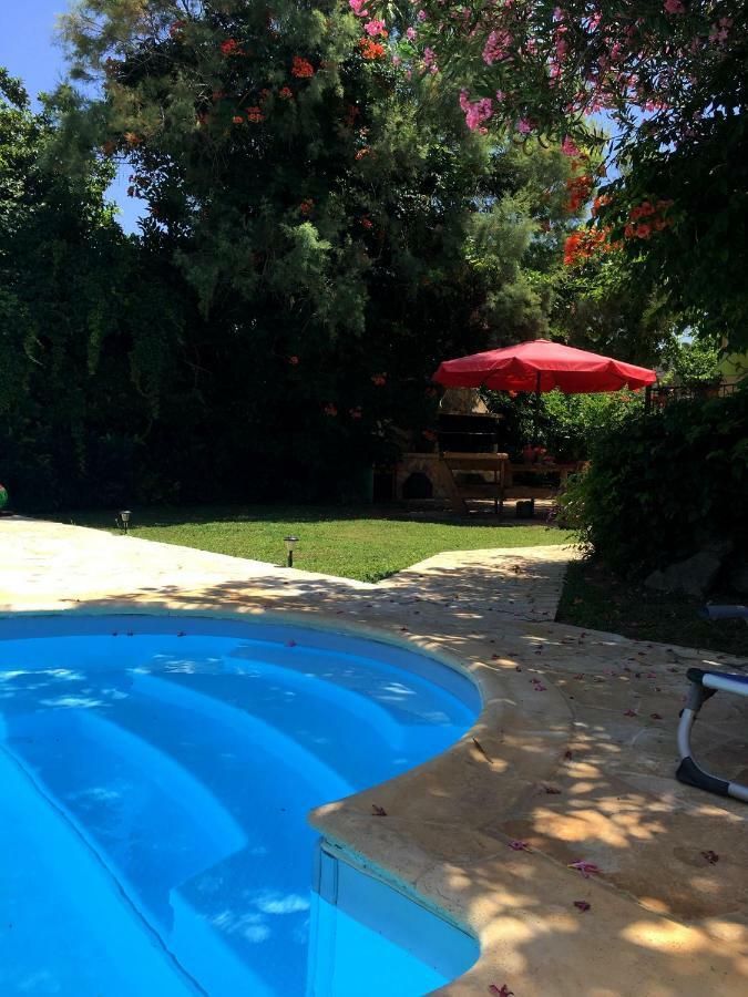 Villa Alkyon - Dreamy 3Br, Pool & Bbq Next To Varnavas Beach Grammatiko Extérieur photo